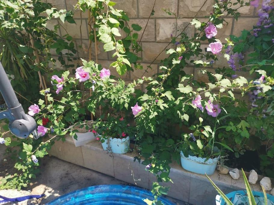 Makarska Blue Oasis Apartman 2-6 Kültér fotó