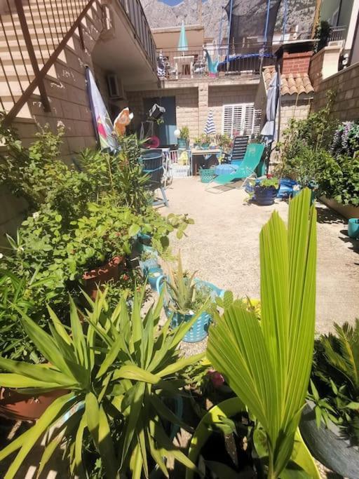 Makarska Blue Oasis Apartman 2-6 Kültér fotó