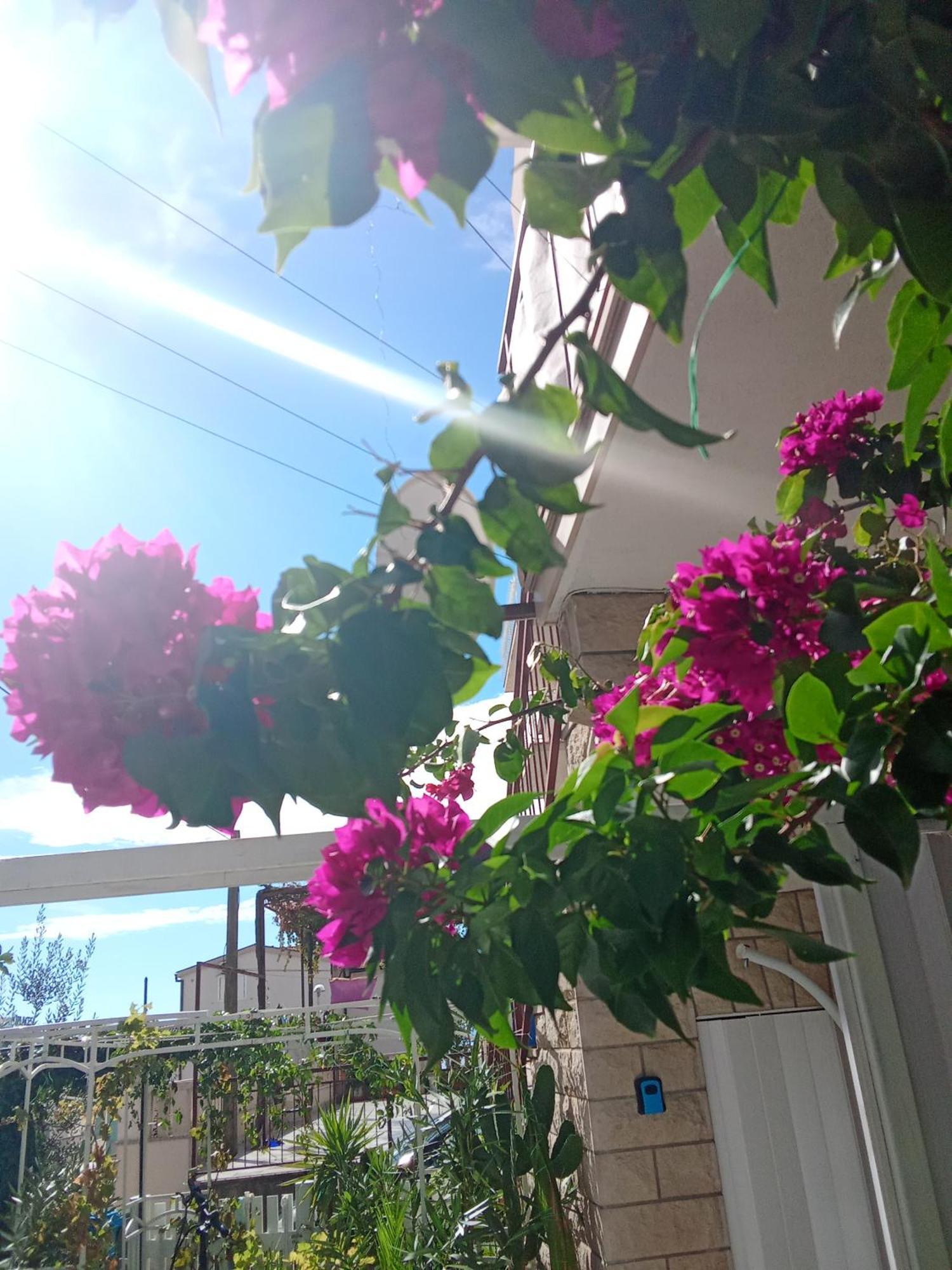 Makarska Blue Oasis Apartman 2-6 Kültér fotó
